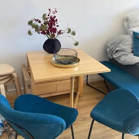 Belle Vue Pied Des Pistes 6 Couchages 2 Pieces Apartment *